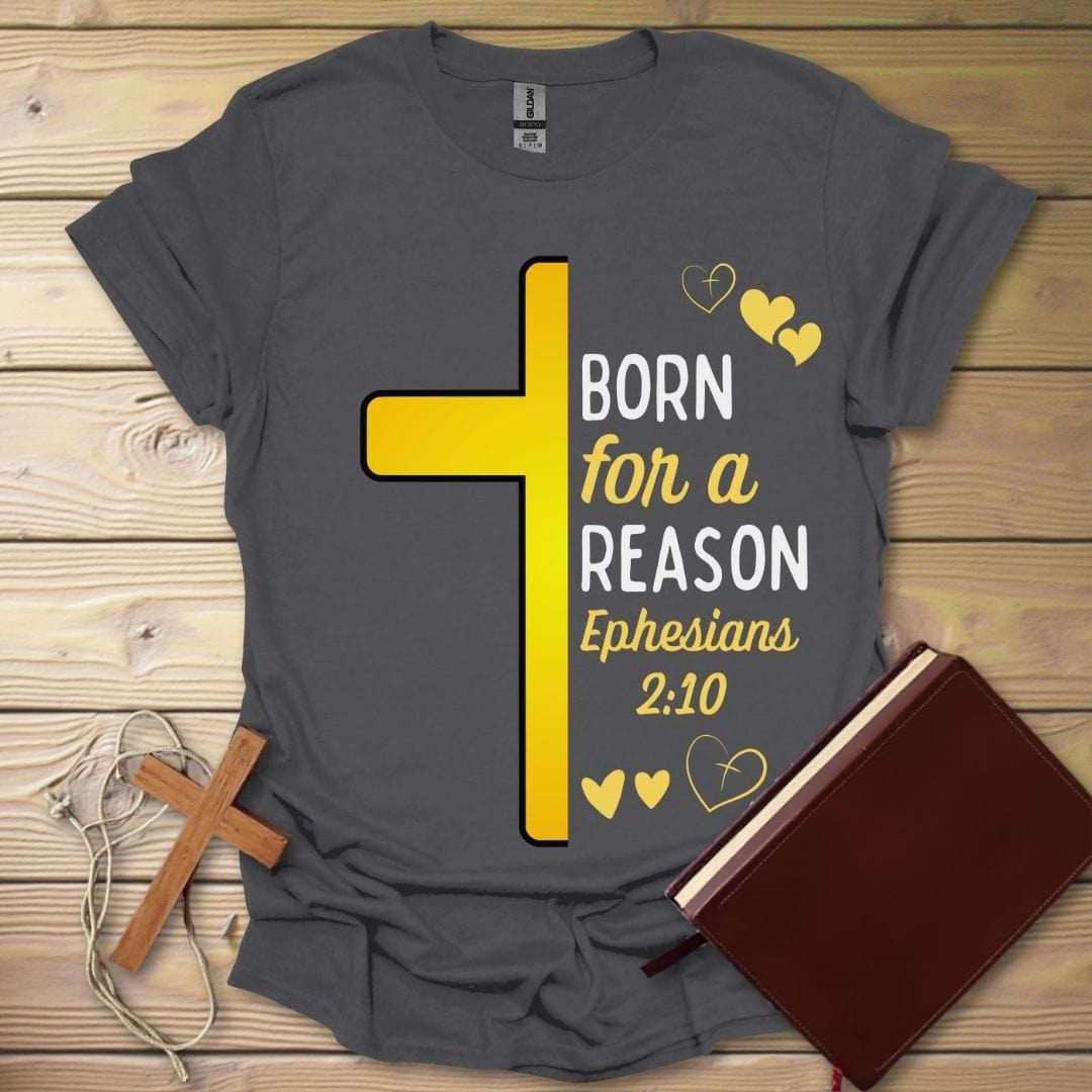 Born For A Reason T-Shirt Charcoal / S
